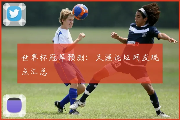 世界杯冠军预测:天涯论坛网友观点汇总