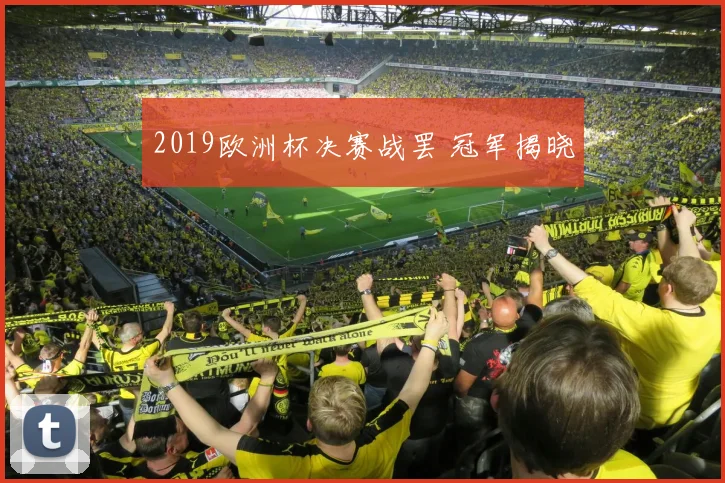 2019欧洲杯决赛战罢 冠军揭晓